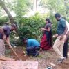 Tree planting program implemented in the office premises